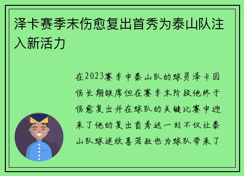 泽卡赛季末伤愈复出首秀为泰山队注入新活力