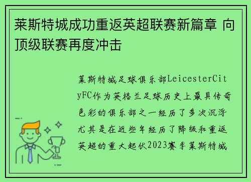 莱斯特城成功重返英超联赛新篇章 向顶级联赛再度冲击
